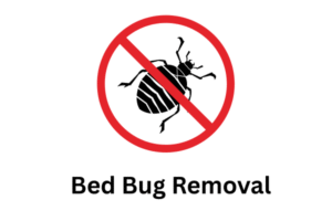 Bed Bug Removal treatment in Gurgaon