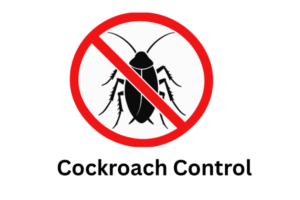 Cockroach treatment in Gurgaon