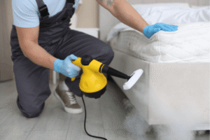 Bed Cleaning service in Gurgaon